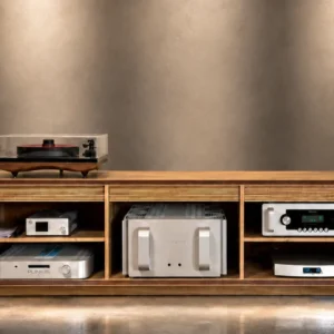 Charlie Audiophile Unit In Home